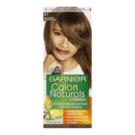 Hair Color - Garnier - Black