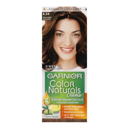Hair Color - Garnier