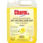 Hand Wash Liquid - Charm